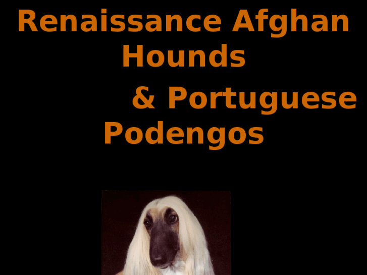 www.renaissanceafghansandpodengos.com