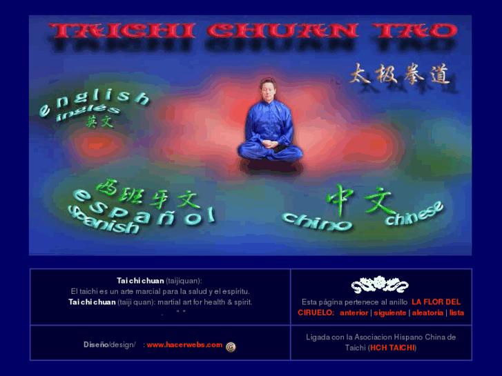 www.taichichuantao.com