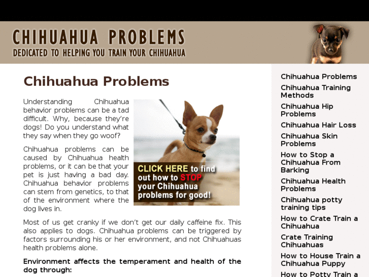 www.chihuahuaproblems.com