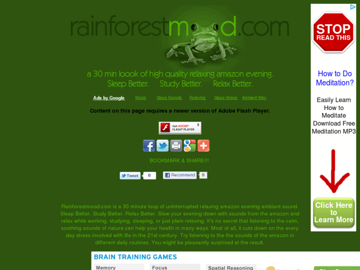 www.rainforestmood.com