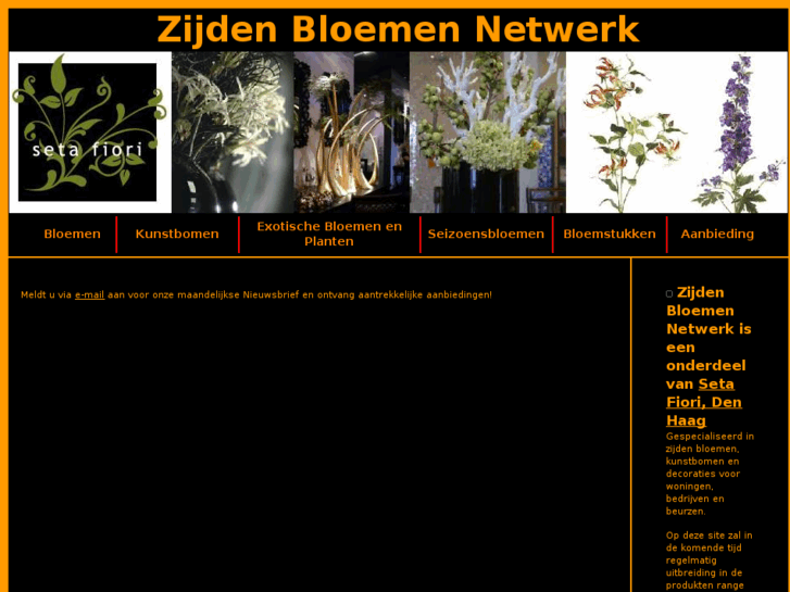 www.zijdenbloemen.net