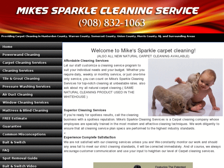 www.rotomikescarpetcleaning.com