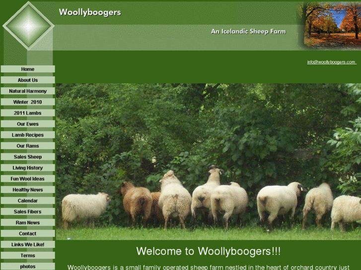 www.woollyboogers.com