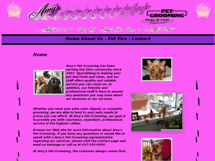 www.amyspetgrooming.com