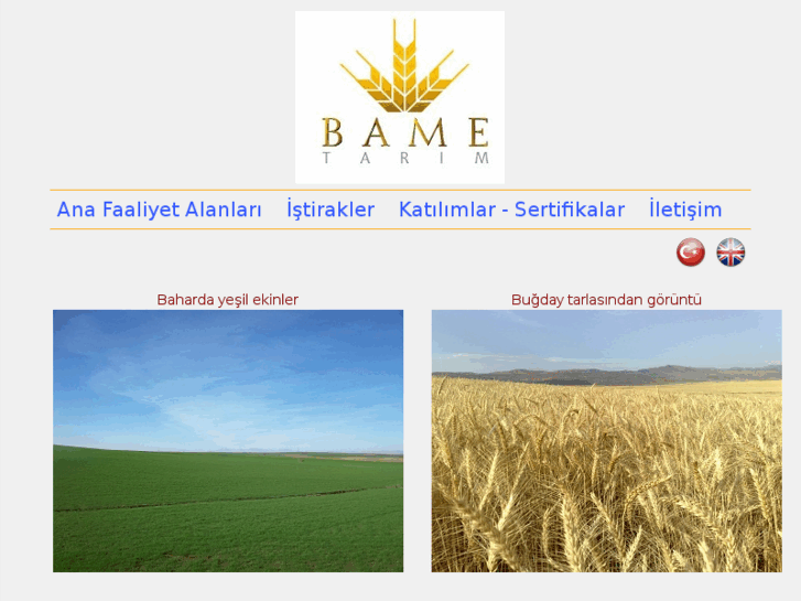 www.bametarim.com