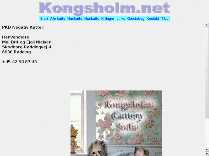 www.kongsholm.net