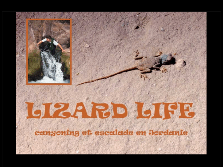 www.lizard-life.com