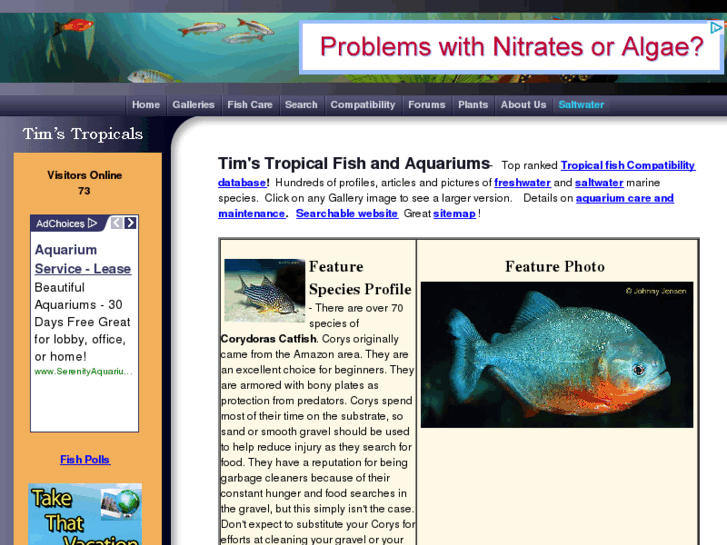 www.tropicalfishandaquariums.com