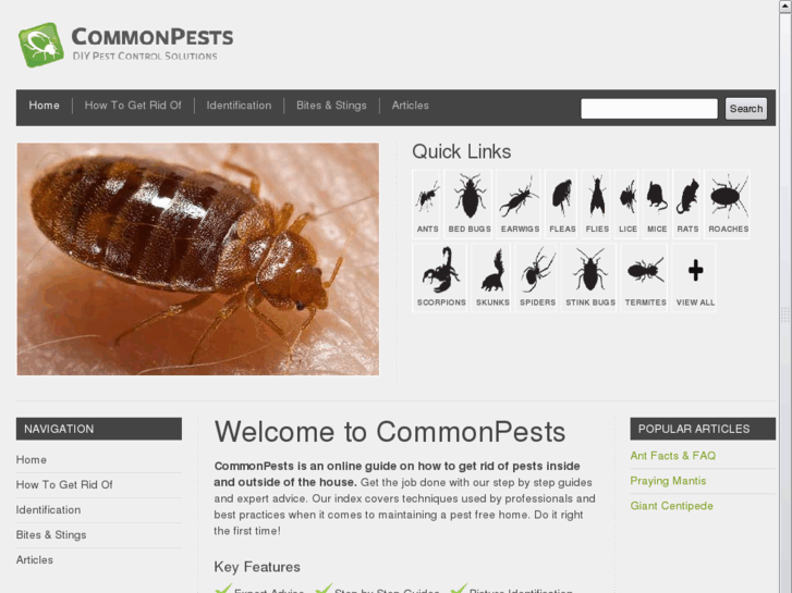 www.commonpests.com