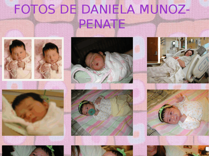 www.danielamunoz.com