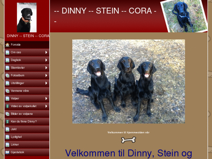 www.dinny2.net