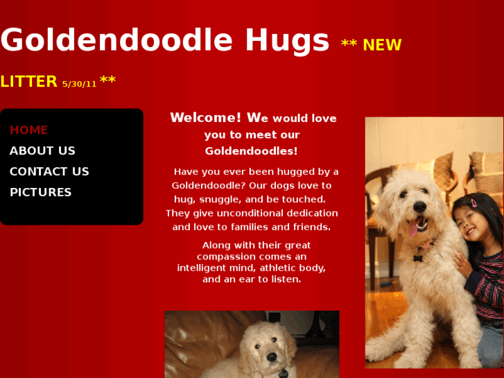 www.goldendoodlehugs.com