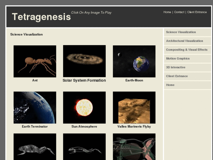 www.tetragenesis.com