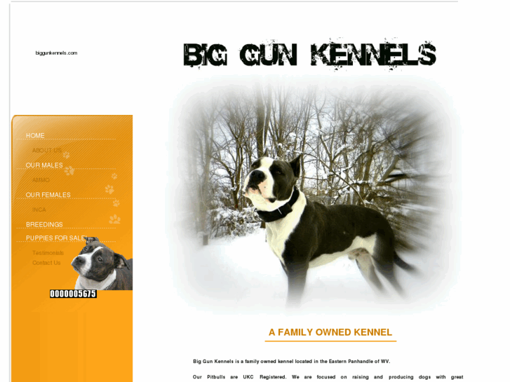 www.biggunkennels.com