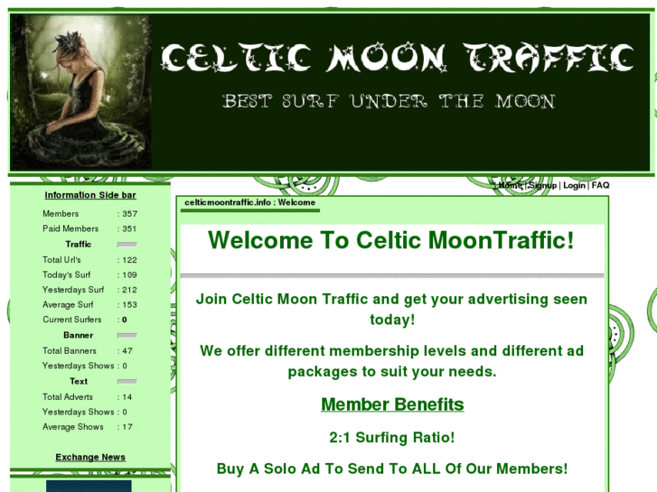 www.celticmoontraffic.info