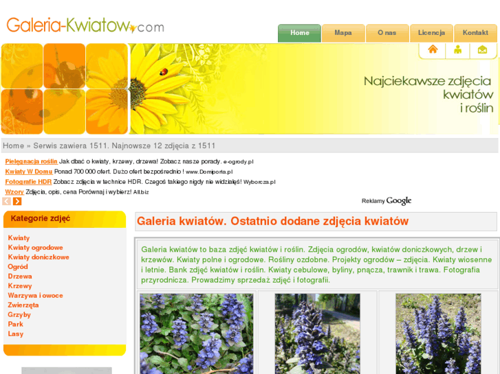 www.galeria-kwiatow.com