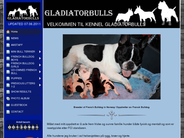 www.gladiatorbulls.net