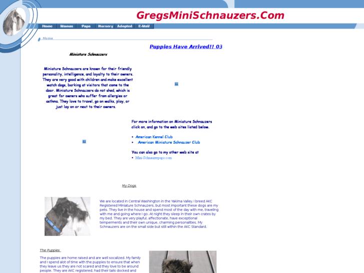 www.gregsminischnauzers.com