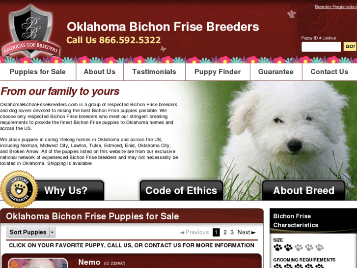 www.oklahomabichonfrisebreeders.com