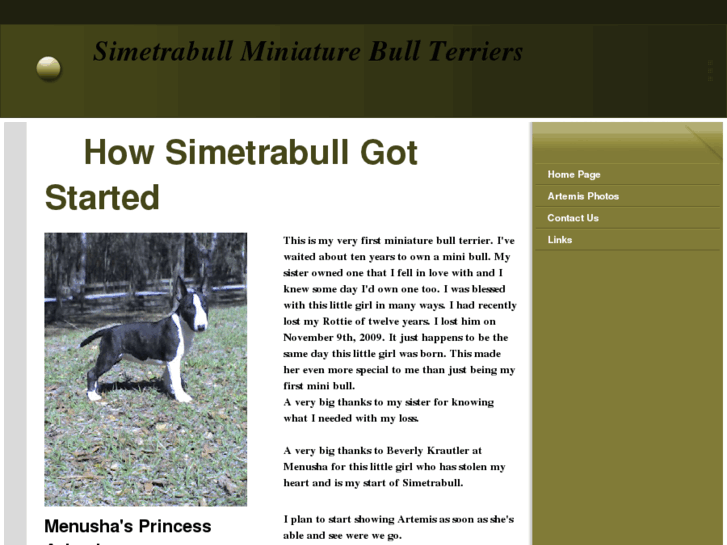 www.simetrabull.com