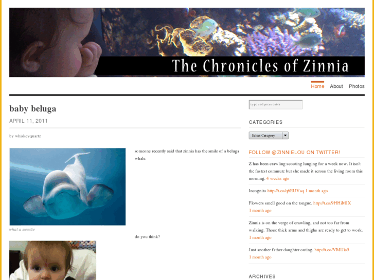 www.thechroniclesofzinnia.com