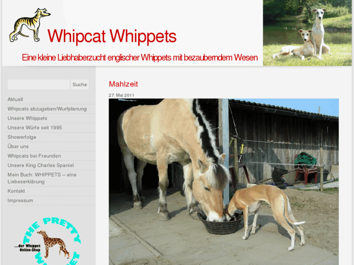 www.whipcat.de