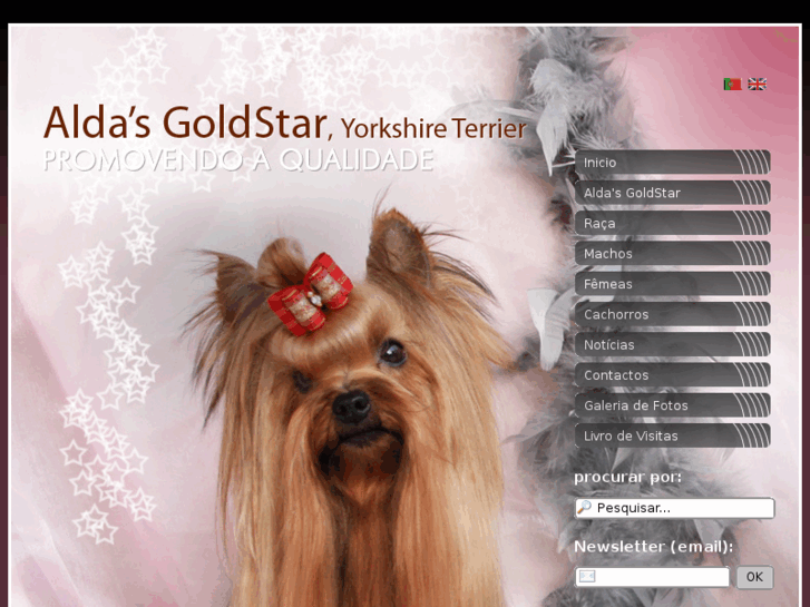 www.aldasgoldstar.com