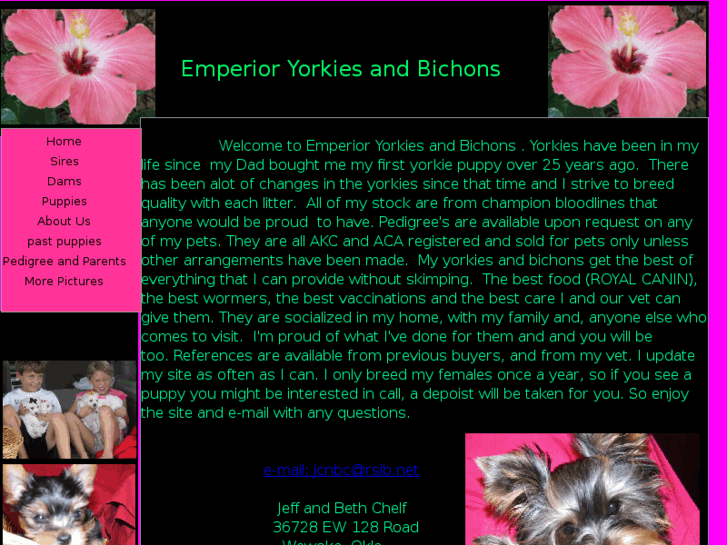 www.emperioryorkiesandbichons.com