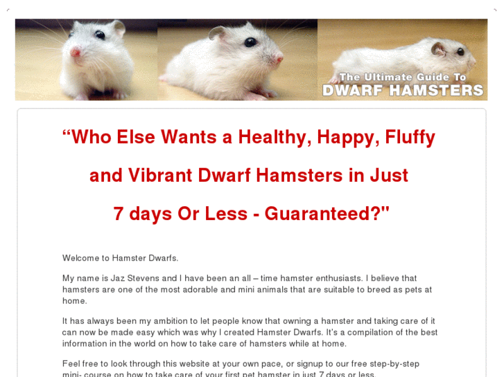 www.hamsterdwarf.com