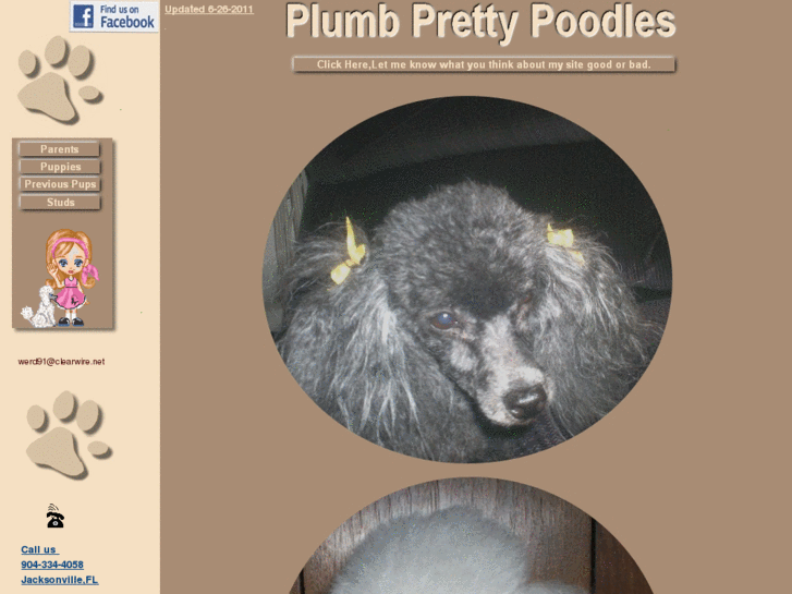 www.plumprettypoodles.com