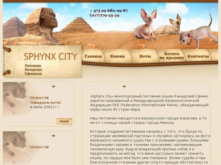 www.sphynxcity.com