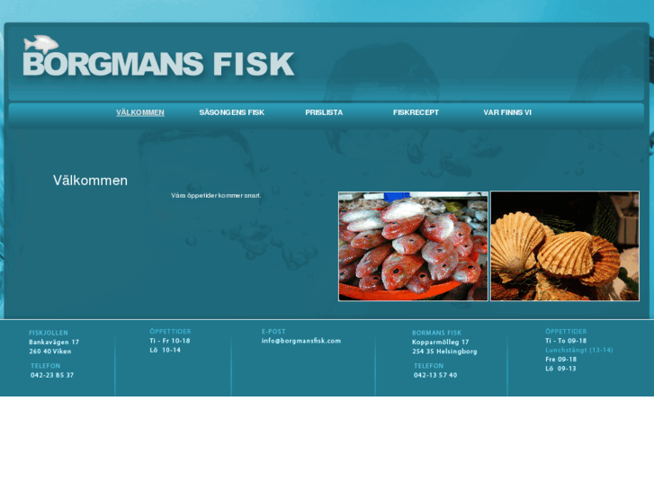 www.borgmansfisk.com