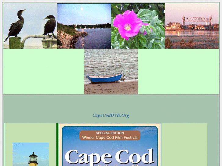 www.capecoddvd.org