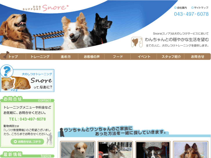 www.dogtraining.jp