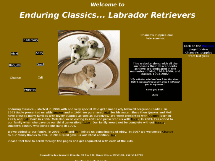 www.enduringclassicslabradors.com