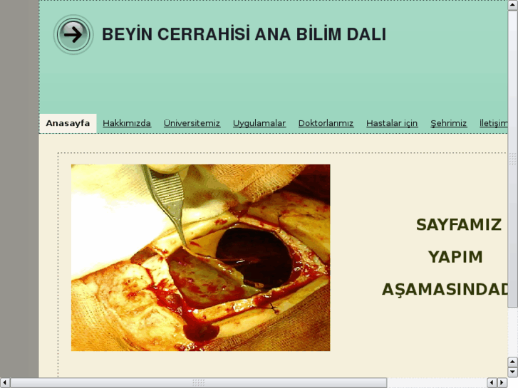 www.gopbeyincerrahisi.com