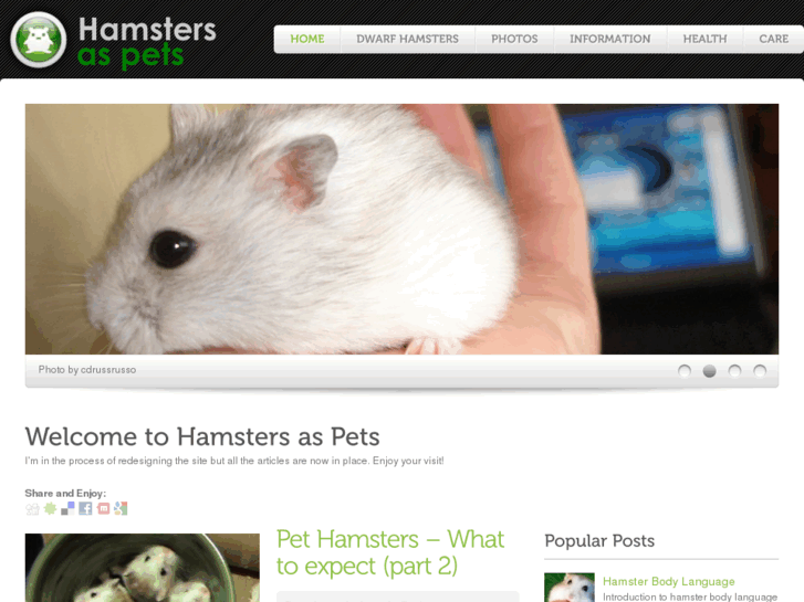 www.hamstersaspets.co.uk