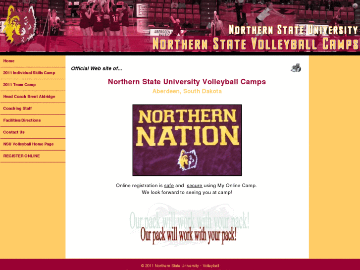 www.northernstatevolleyballcamps.com