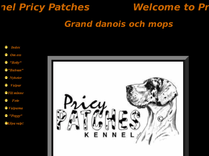 www.pricypatches.com