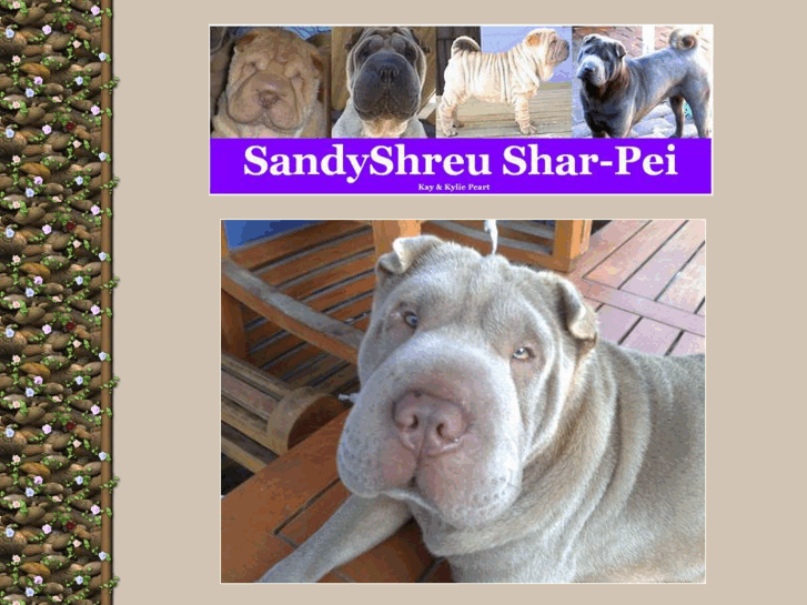 www.sandyshreusharpei.com