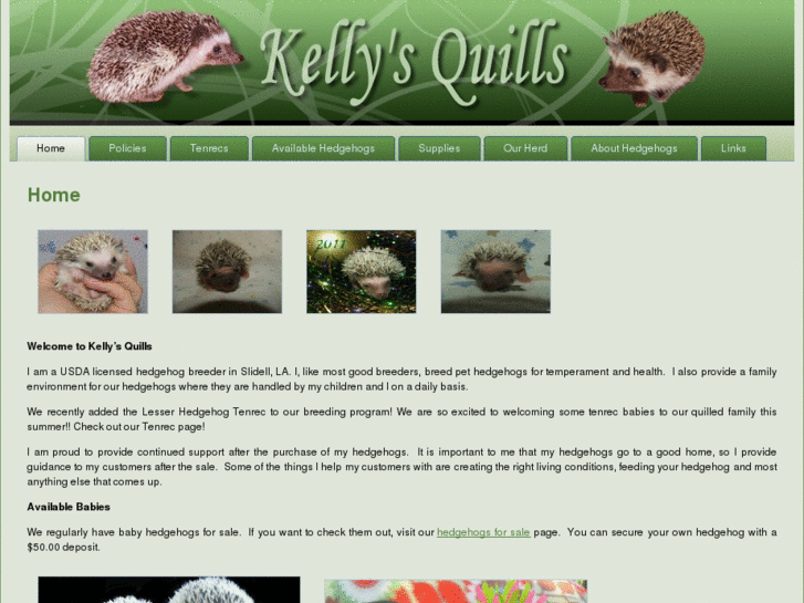 www.kellysquills.com