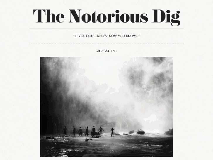 www.thenotoriousdig.com