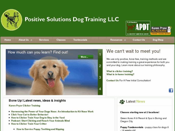 www.trainpositivedog.com