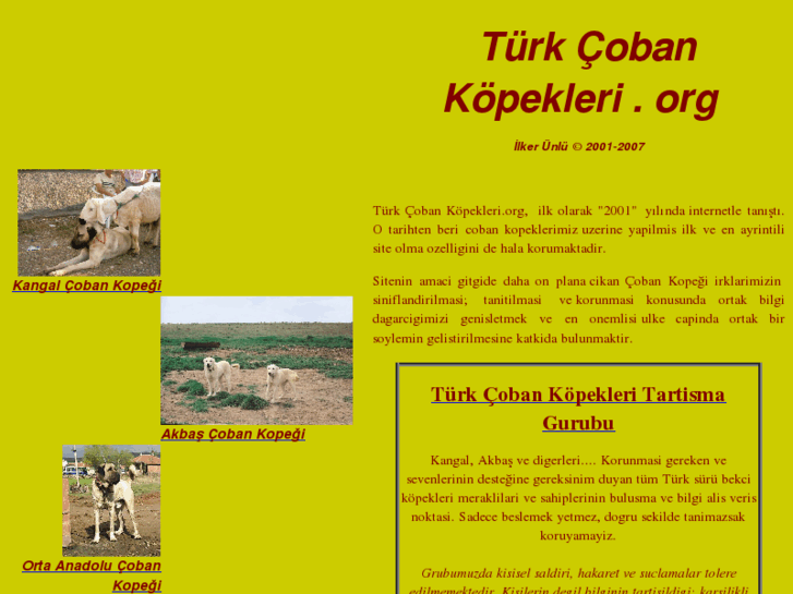 www.turkcobankopekleri.com