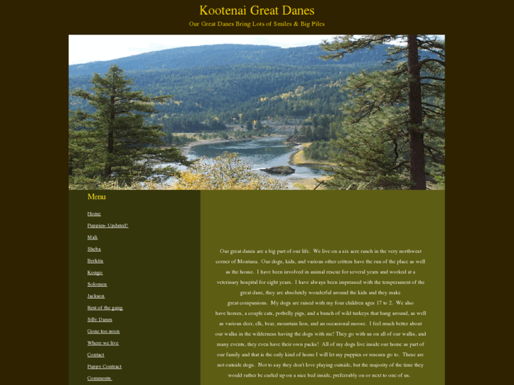 www.kootenaidanes.com