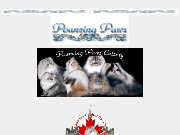 www.pouncingpaws.com