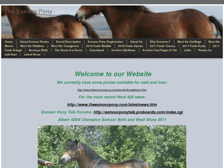 www.theexmoorpony.com