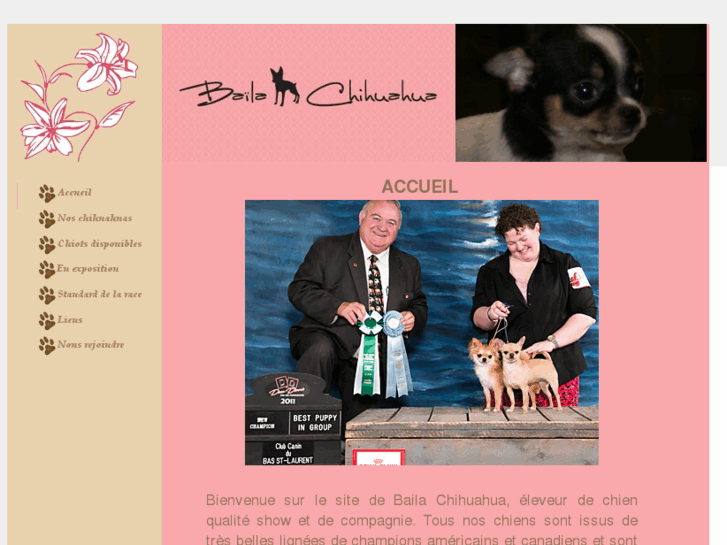 www.bailachihuahua.com