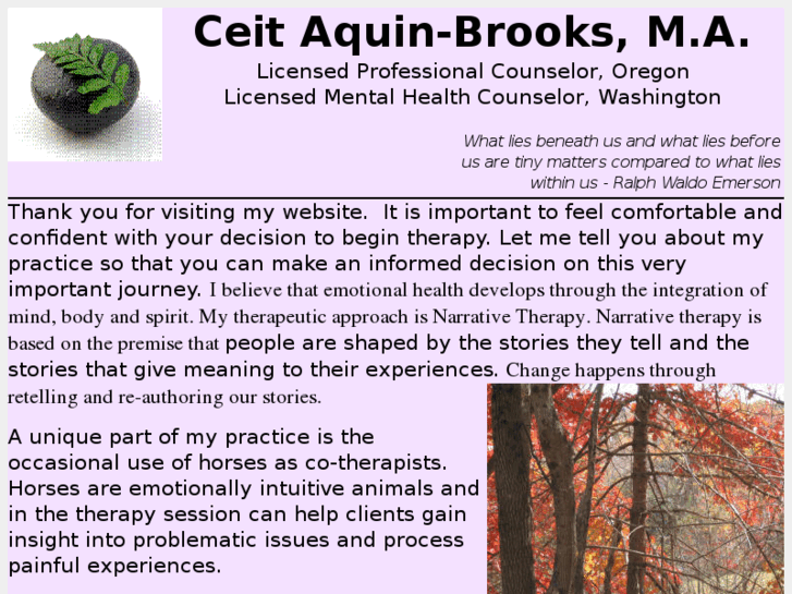 www.ceitaquinbrooks.com