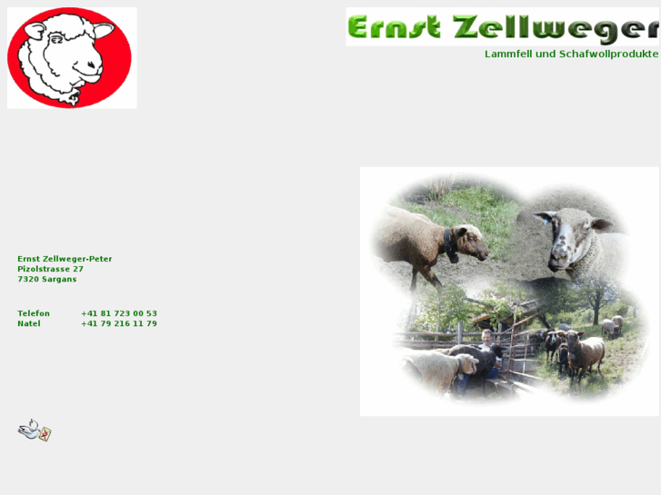 www.ezellweger.ch